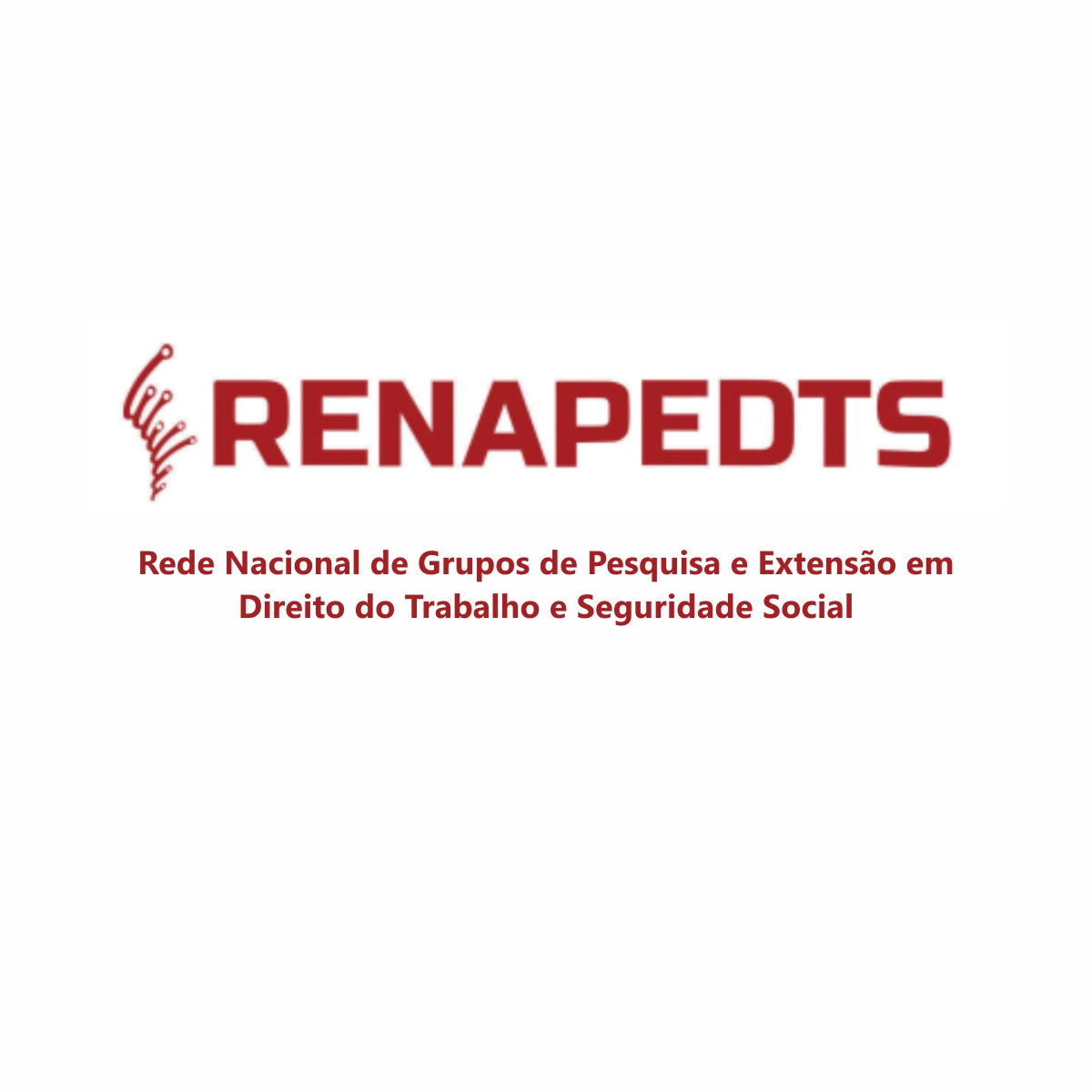 Clínica Direito do Trabalho da UFPR participa do VI Encontro do RENAPEDTS, em Recife